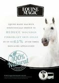 Equine Magic for horses