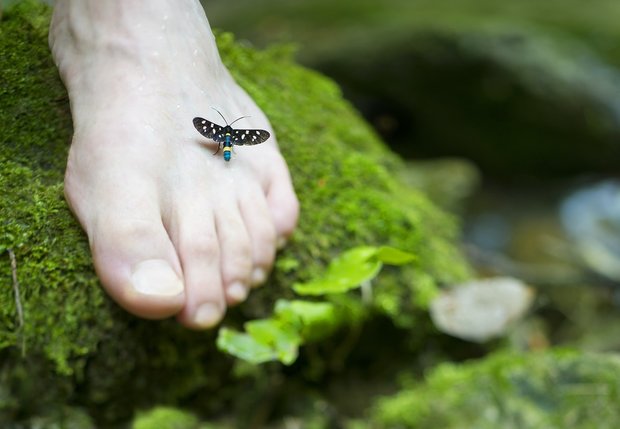 voetverzorging (pakket) met manuka-huidverzorging, afbeelding voet op mos