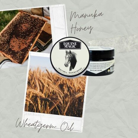 Equine Magic Manuka honing wondzalf voor paarden Ingrediënten crème